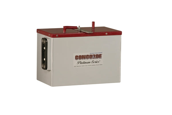 Concorde RG-206 24-Volt Premium Aircraft Battery