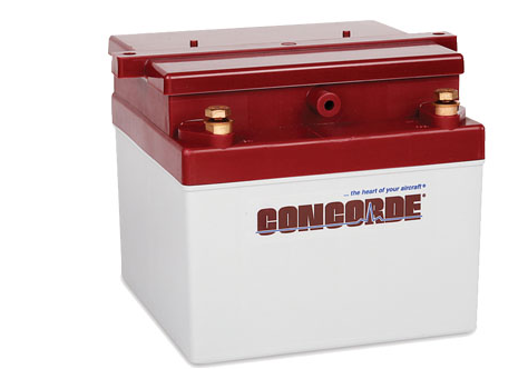 Concorde RG24-11M Sealed Battery